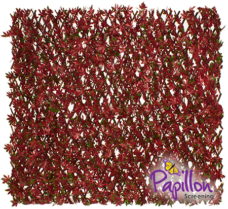 1 x 2m Panel de Celosía Extensible Decorativa de Hojas de Arce Rojo de  Papillon™ 54,99 €