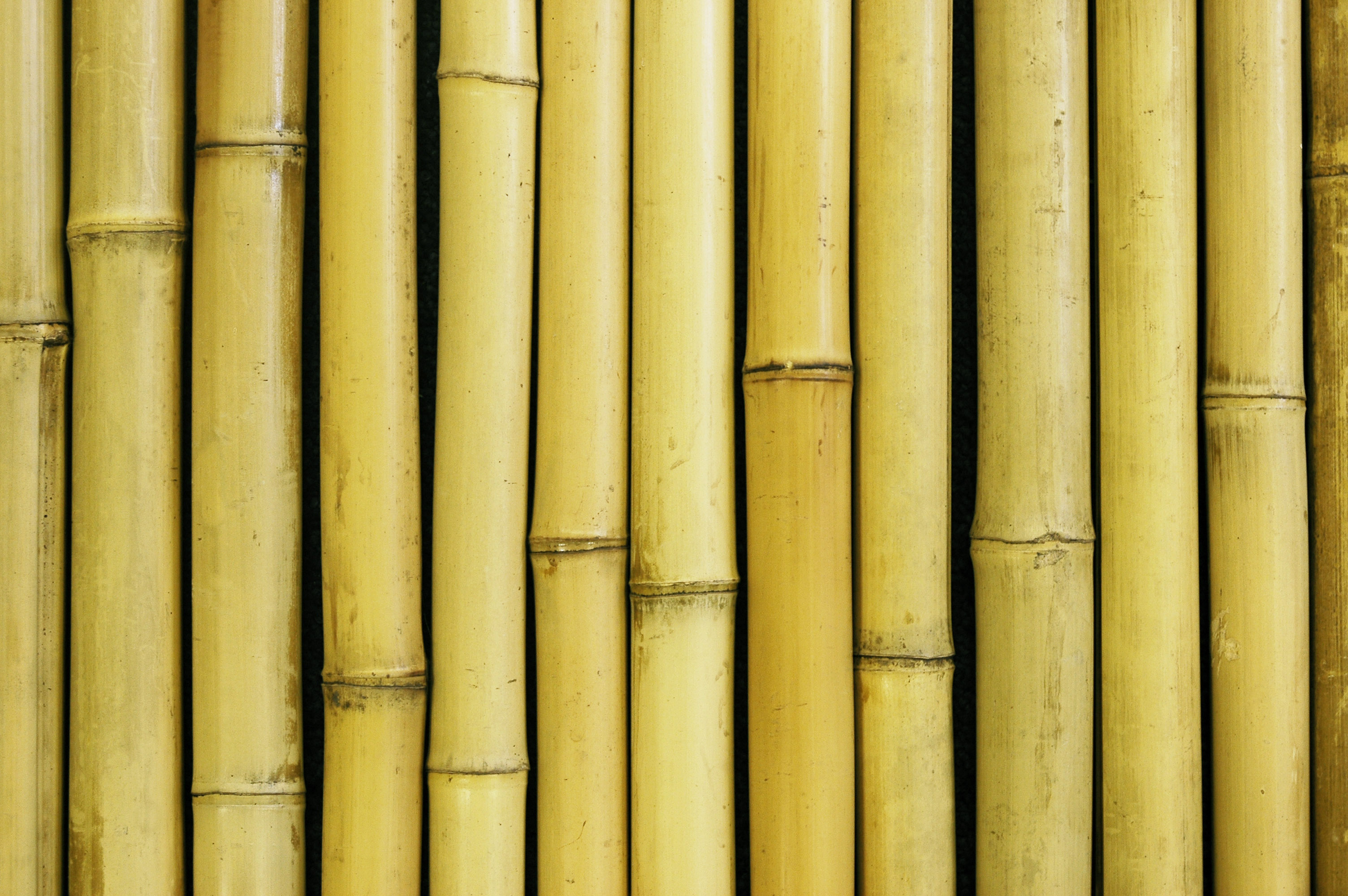 Game big bamboo bigbamboo vip. Бамбук текстура. Бамбук фактура. Бамбук коричневый. Бамбук фон.