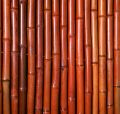 1.9x1.8 m Panel Enrollable de Cañas de Bambú Rojo y Grueso de Papillon™​