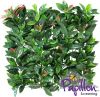 50x50cm American Beech Artificial Hedge Panel - by Papillon™ - 2 Pack - 0.5m²