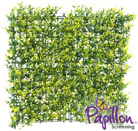 Panel para Jardín Vertical Artificial -  Boj Claro - 50 cm x 50cm - Paquete de 8 Piezas - 2m²  por Papillon™