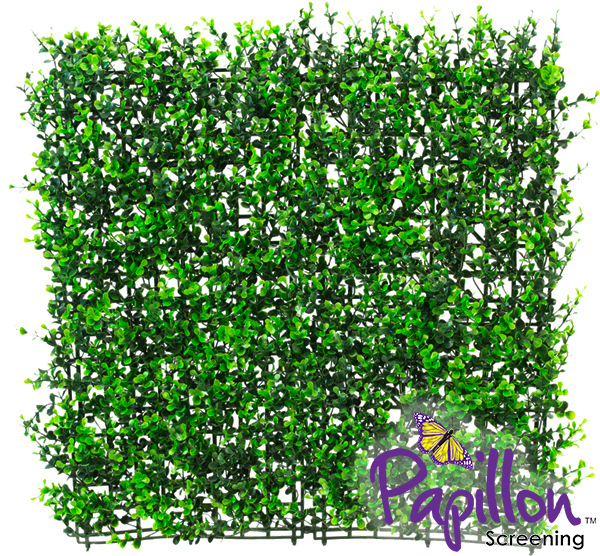 Panel para Jardín Vertical Artificial - Boj - 50 cm x 50cm - Paquete de 4  Piezas - 1m² por Papillon™