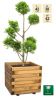 42cm Small Wooden Pine Raised Cube Planter