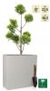 H56.5cm Small White Tall Trough Planter With Insert