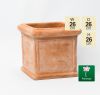 D26cm Small Terracotta Cube Pot