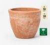 D30cm Terracotta Pot With Fleur De Lis