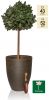 53cm Black Cortina Stone Cone Planter - By Primrose™