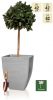 52cm Grey Cortina Stone Effect Square Planter - By Primrose™