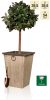 54cm Aged Grey Wood Effect Flared Square Planter - By Primrose™