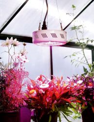 Lámpara LED de Invernadero Supergrow1