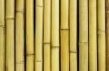 1.9x1.8 m Panel Enrollable de Cañas de Bambú Claro y Grueso  de Papillon™​